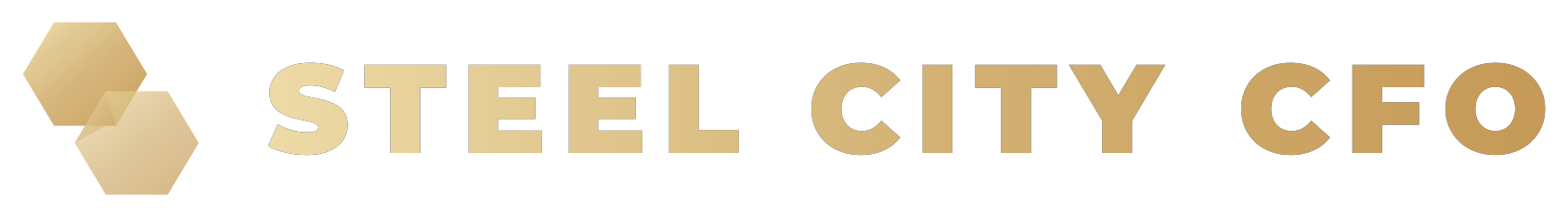 Steel City CFO
